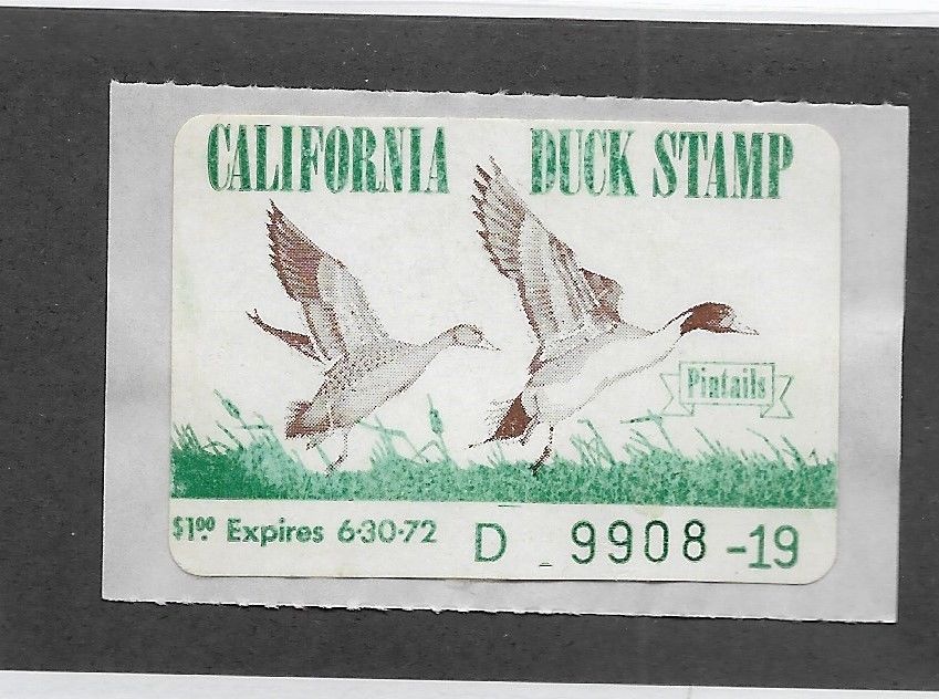 US California 1 state Duck Stamp 1971 1 Pintails mint never hinged scarce