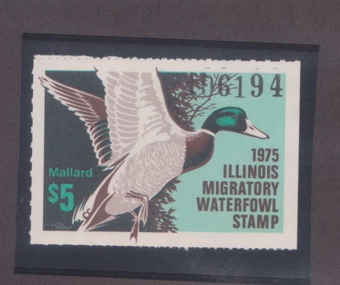 US Illinois 1 state Duck Stamp 1975 5 Mallard mint never hinged scarce