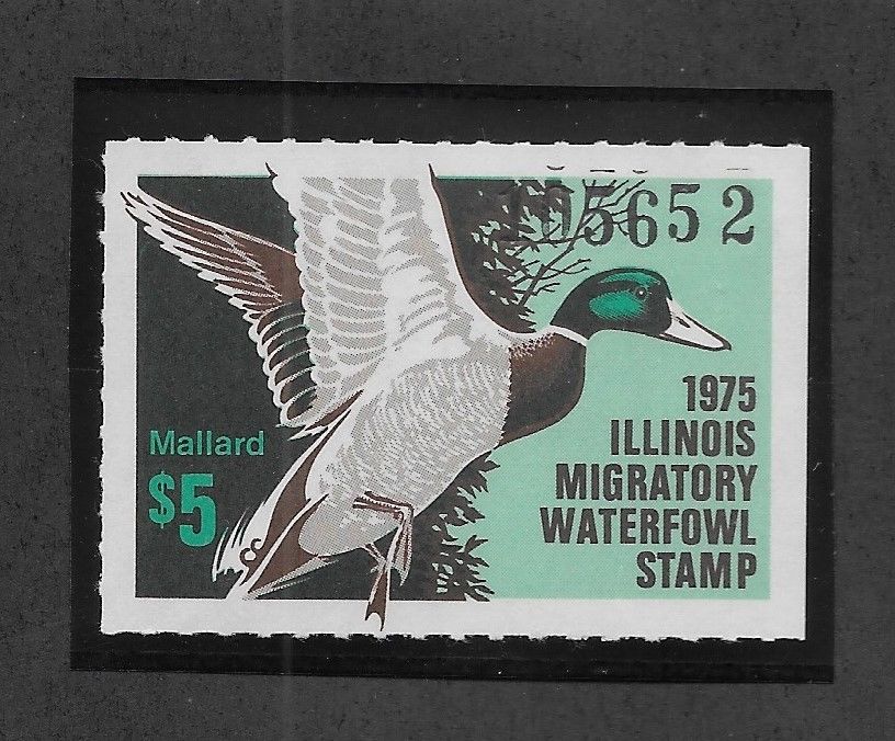 US Illinois 1 state Duck Stamp 1975 5 Mallard mint never hinged scarce
