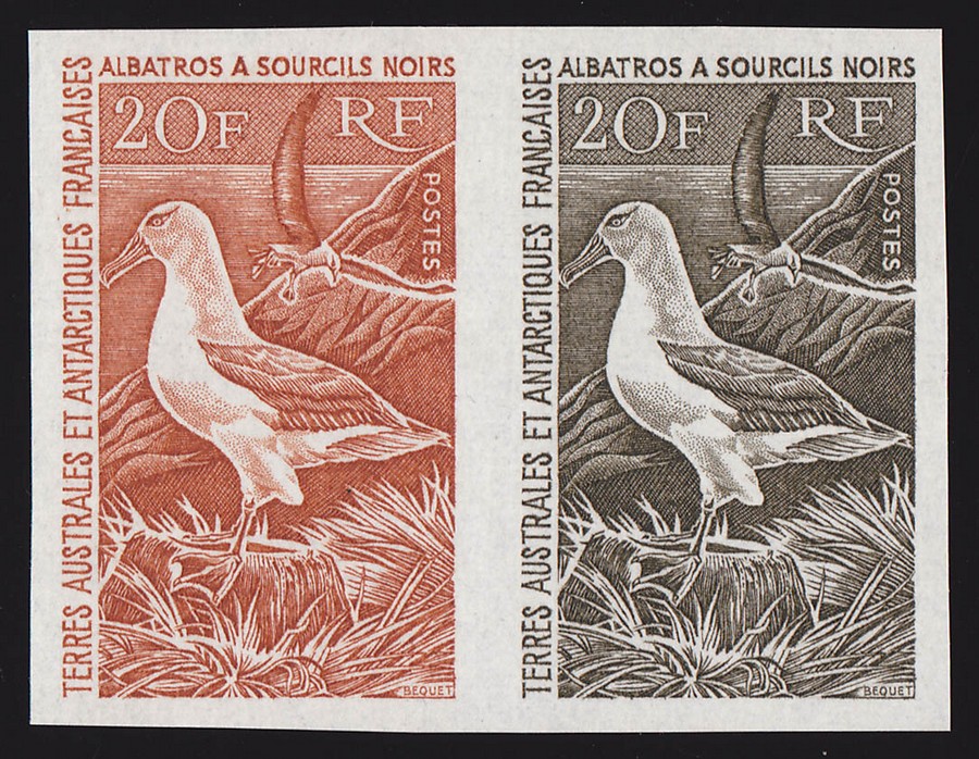 FRENCH ANTARCTIC TERRITORIES 1962 Albatross 20Fr IMPERF PROOF pair MNH  RARE